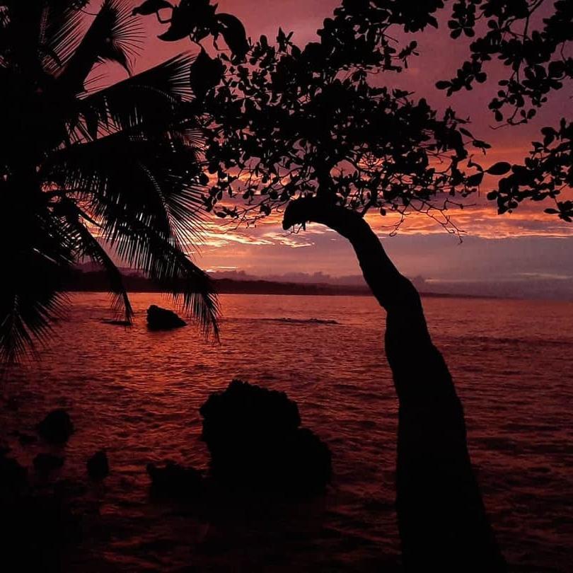 Cahuita Inn Kültér fotó