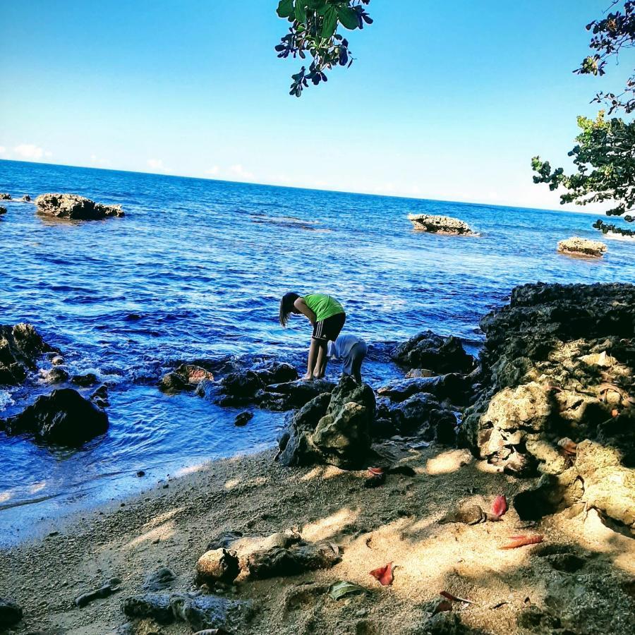 Cahuita Inn Kültér fotó