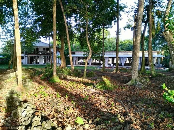 Cahuita Inn Kültér fotó