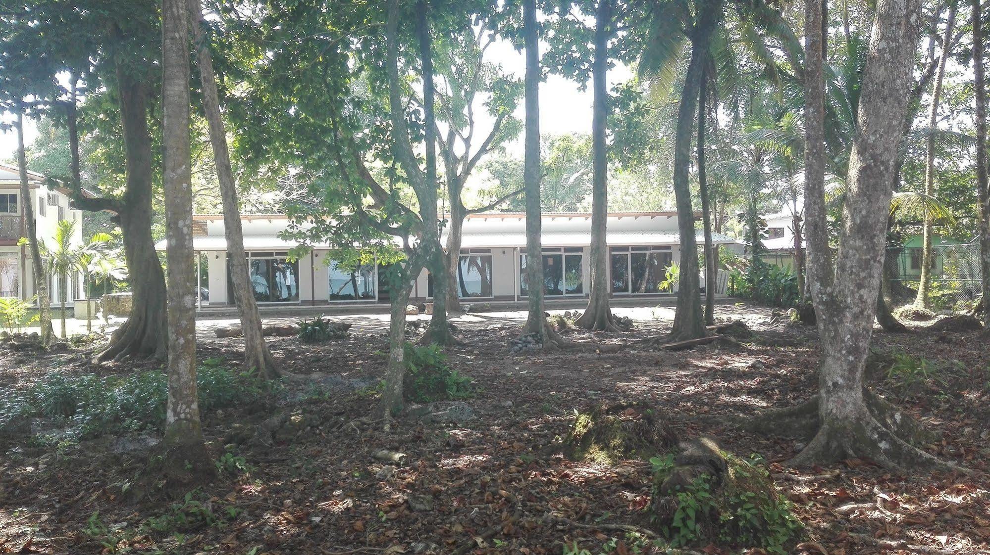 Cahuita Inn Kültér fotó